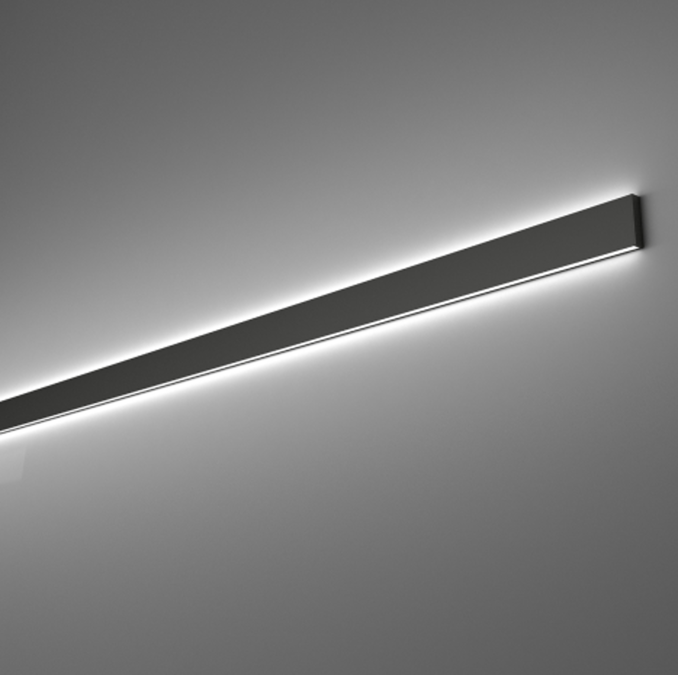 DS5-Luminaires